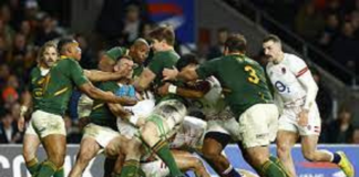 Mondial de Rugby 2023 : L’Afrique du Sud affronte l’Angleterre demi-finale ce samedi