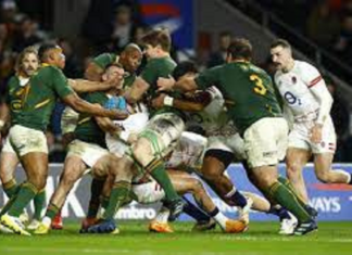Mondial de Rugby 2023 : L’Afrique du Sud affronte l’Angleterre demi-finale ce samedi
