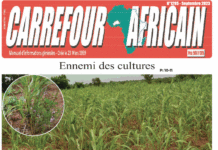 Une Carrefour africain n°1295-septembre 2023
