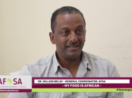 Les crises du climat et de la faim en Afrique exigent des mesures urgentes, et non des paroles en l’air