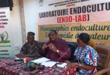 Valorisation des savoirs endogènes : Le GENESIS annonce un atelier national de validation