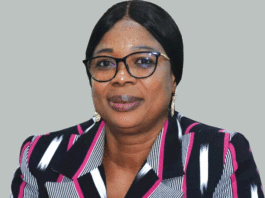 Le socle de la société