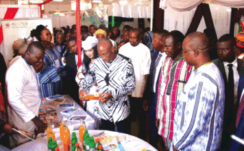 SITHO-VITHRO 2023 : l’édition de la relance touristique