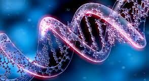 Génétique : Projet de création de la plus grande base de données sur le génome africain