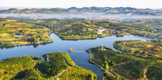 COP28 : Concrétiser le triptyque Énergie, Climat, Croissance