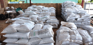 Gestion durable des terres et de l’environnement : la solution par les engrais et pesticides bio