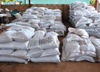 Gestion durable des terres et de l’environnement : la solution par les engrais et pesticides bio