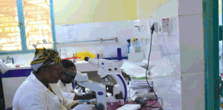 Epidémie de dengue au Burkina: Au cœur des épicentres