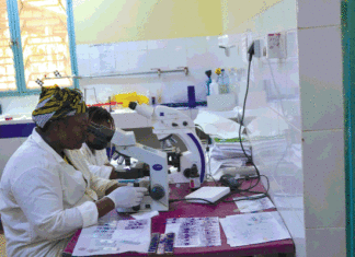 Epidémie de dengue au Burkina: Au cœur des épicentres