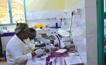 Epidémie de dengue au Burkina: Au cœur des épicentres