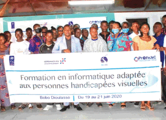 Insertion professionnelle des personnes handicapées visuelles : aveugles et malvoyants disent non à la fatalité