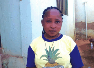 Personnes atteintes de nanisme : l’accès à l’emploi, l’autre handicap