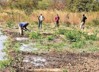 Détenus du Centre pénitentiaire de Baporo : une « armée » au service de l’auto-suffisance alimentaire