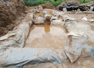 Prolifération des sites aurifères au Burkina: Une menace croissante pour l’environnement