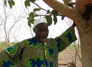 Hommage à Yacouba Sawadogo: le « fou de la forêt de Gourga » s’en est allé