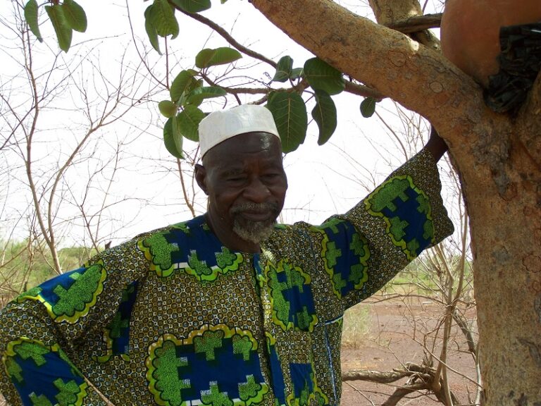Hommage à Yacouba Sawadogo: le « fou de la forêt de Gourga » s’en est allé