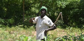 Agroécologie : La clé de la résilience de l’Afrique face au changement climatique