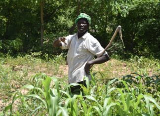 Agroécologie : La clé de la résilience de l’Afrique face au changement climatique