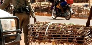 Ouagadougou : « Tout bétail ou volaille en vente dans les rues ou en dehors des marchés de bétail sera systématiquement confisqué », police municipale