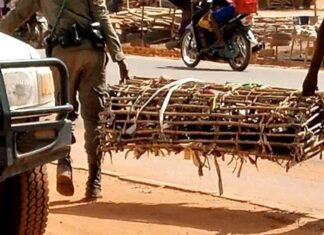 Ouagadougou : « Tout bétail ou volaille en vente dans les rues ou en dehors des marchés de bétail sera systématiquement confisqué », police municipale