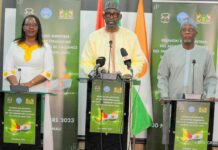 Alliance des États du Sahel : l’architecture institutionnelle adoptée