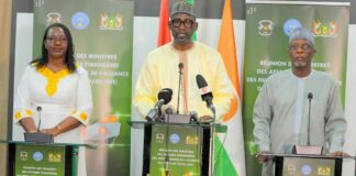 Alliance des États du Sahel : l’architecture institutionnelle adoptée