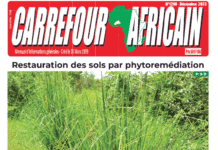 Une Carrefour africain n°1298-décembre 2023