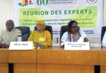 60e Session ordinaire du Conseil des ministres de l’ALG: les experts planchent sur l’avenir de l’institution