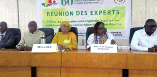 60e Session ordinaire du Conseil des ministres de l’ALG: les experts planchent sur l’avenir de l’institution