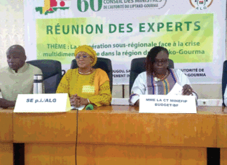 60e Session ordinaire du Conseil des ministres de l’ALG: les experts planchent sur l’avenir de l’institution