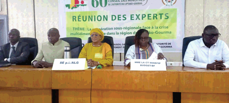 60e Session ordinaire du Conseil des ministres de l’ALG: les experts planchent sur l’avenir de l’institution