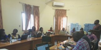 Capture du dividende démographique : Des DGESS prennent connaissance du Plan national de Planification familiale 2021-2025