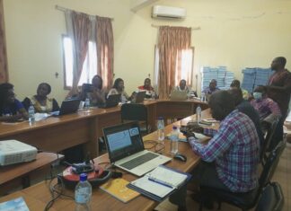 Capture du dividende démographique : Des DGESS prennent connaissance du Plan national de Planification familiale 2021-2025