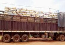 Burkina: L’ exportation des céréales est interdite sur toute l’étendue du territoire jusqu’à nouvel ordre, gouvernement