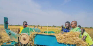 Valorisation des résultats de la recherche agricole : l’heure de la moisson pour des membres du gouvernement