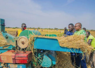 Valorisation des résultats de la recherche agricole : l’heure de la moisson pour des membres du gouvernement