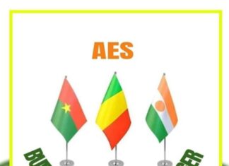 CEDEAO : Le Burkina Faso, le Mali et le Niger quittent l’organisation