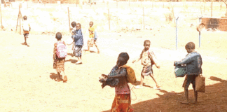 Cantines scolaires : ces dysfonctionnements qui affament les élèves