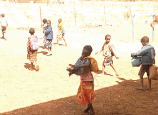 Cantines scolaires : ces dysfonctionnements qui affament les élèves