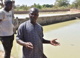 Entrepreneuriat agricole: le « success-story » des jeunes diplômés