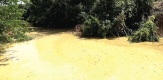 Exploitation minière à Ouadaradouo : la recherche de l’or étouffe la rivière Poni