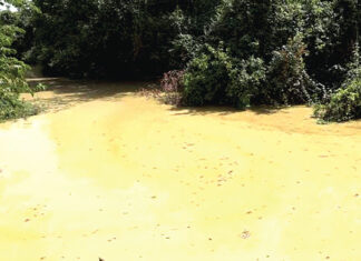 Exploitation minière à Ouadaradouo : la recherche de l’or étouffe la rivière Poni