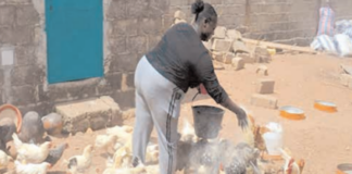 Promotion de l’emploi des jeunes: Ces filles qui se frayent leur chemin dans l’entrepreneuriat