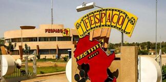 FESPACO : la 29e édition se tiendra du 22 février au 1er mars 2025