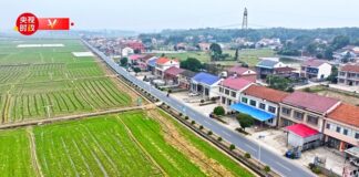 Chine : Xi Jinping inspecte les travaux agricoles de printemps