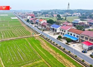 Chine : Xi Jinping inspecte les travaux agricoles de printemps