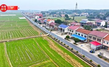 Chine : Xi Jinping inspecte les travaux agricoles de printemps
