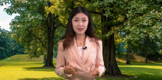 Les politiques et actions de la Chine en matière de contrôle des émissions de gaz à effet de serre