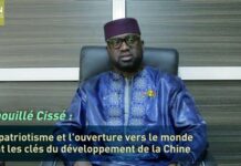 M’bouillé Cissé : le patriotisme et l’ouverture vers le monde sont les clés du développement de la Chine