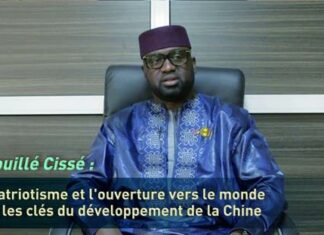 M’bouillé Cissé : le patriotisme et l’ouverture vers le monde sont les clés du développement de la Chine